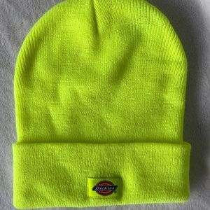 Neon Dickies winter hat